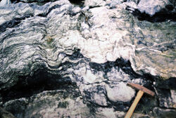 Photo of sample